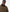 Veste Cirée Classique pour Homme – Steve