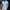 Polo Slim Fit pour hommes pour toutes les occasions – Markus
